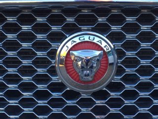 /photos/195/c277ae71-97db-4dca-beff-812c16ffbeec_i320x240.jpg